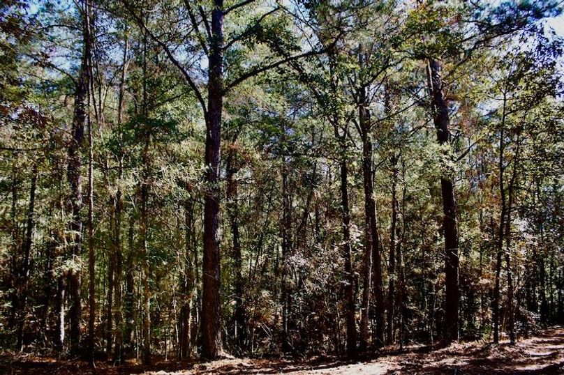 C4DA06FB-D8C8-4546-98B0-671D20013A53_1_105_c