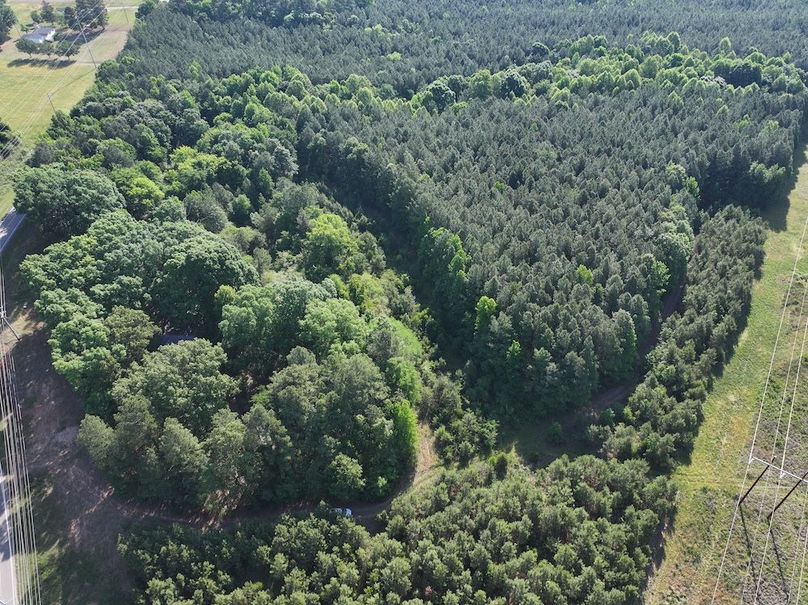 dji_fly_20260518_090318_0908_1779196490510_photo