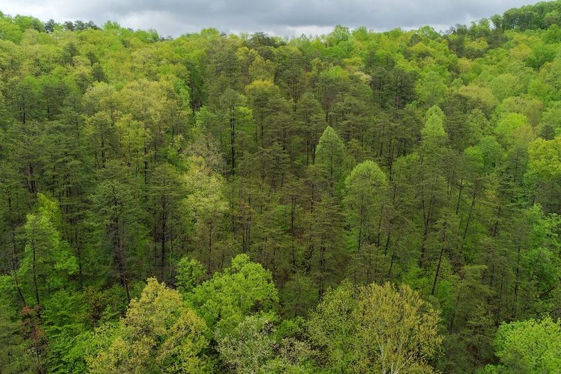DJI_20260429154032_0202_D
