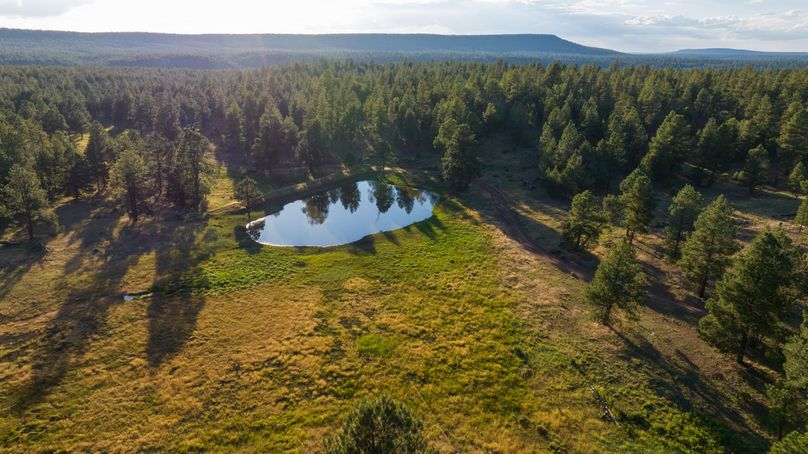 Cibola NM 13,053-0135