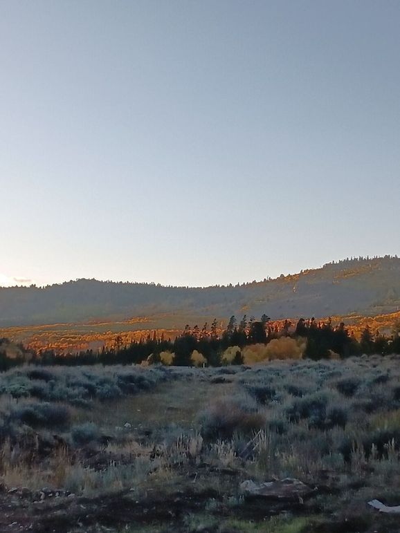 Resized_20250923_183517