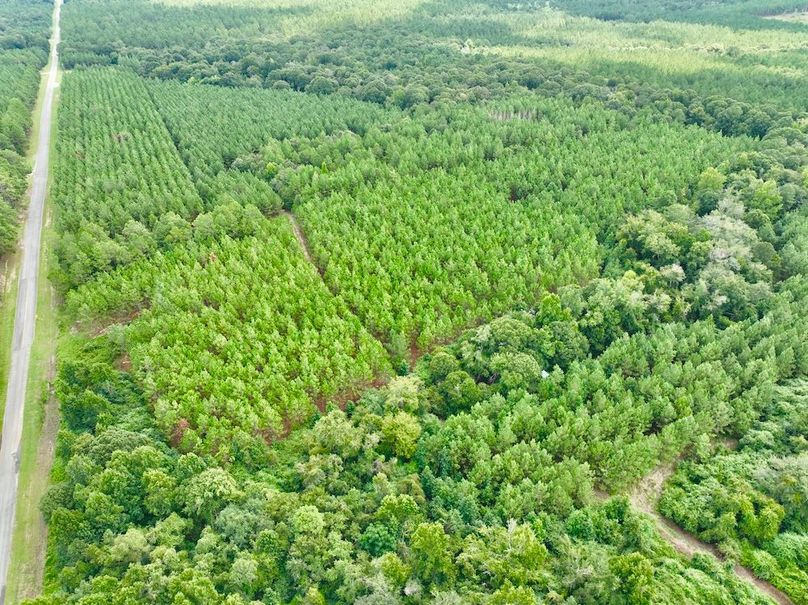 dji_fly_20250814_132428_88_1755192467650_photo