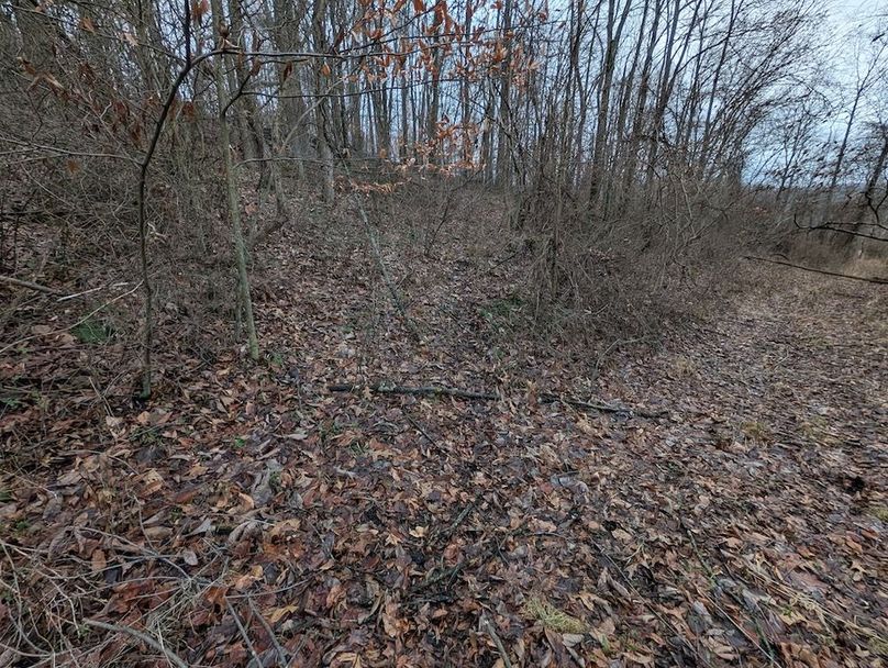 PXL_20260107_165113831