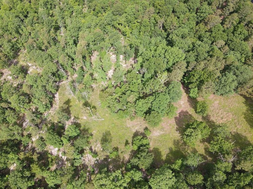 DJI_0452