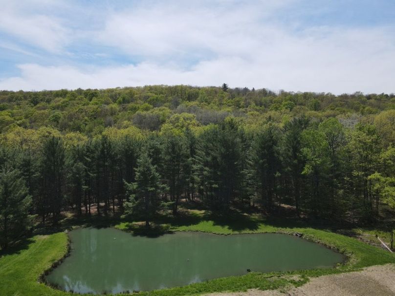 DJI_0324