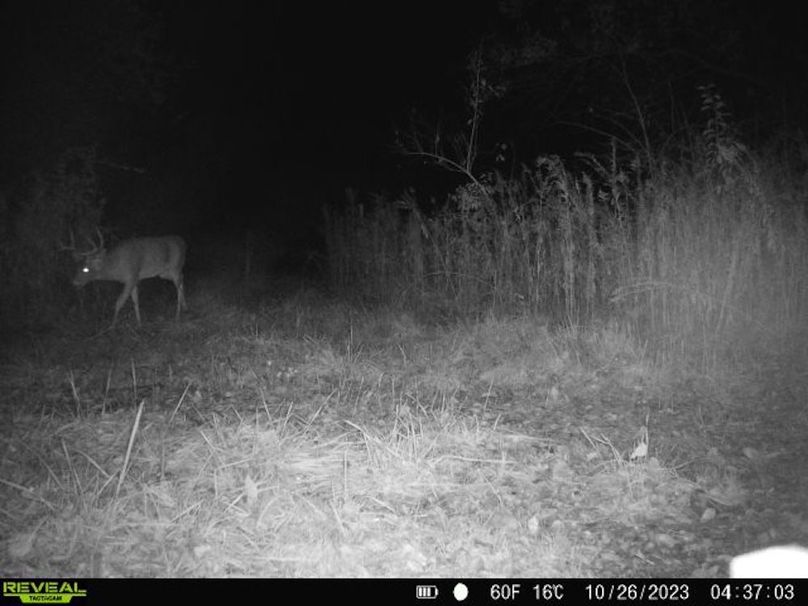 860322065128164-1-4-10262023043702-V-W1004495