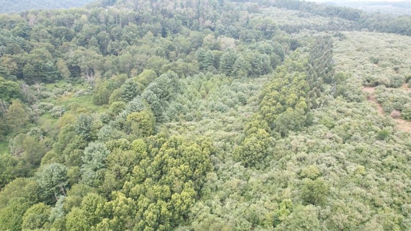 dji_fly_20250806_140742_587_1754530430737_photo