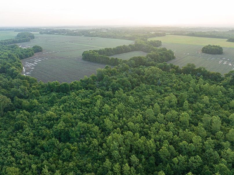 Copy of Noxubee 70 +- Tract 3-20