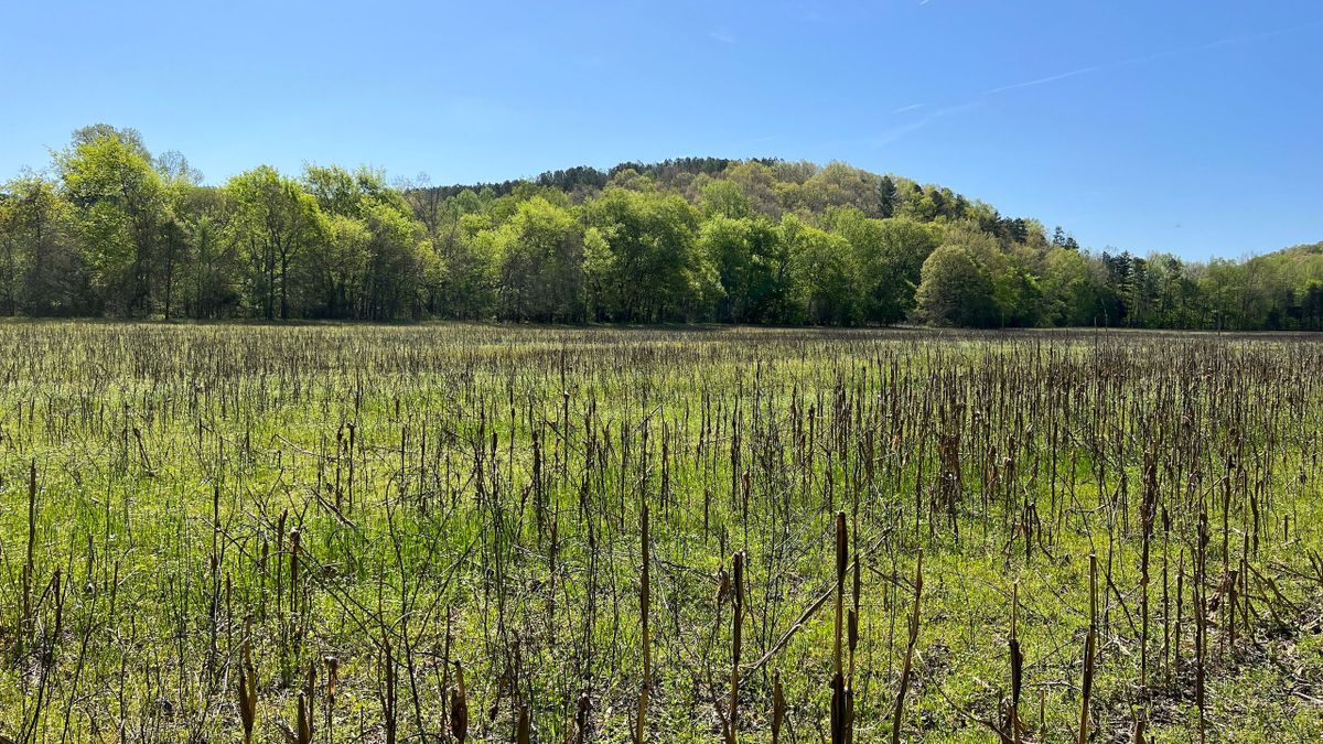 Fertile Fields And Clear Creeks On This MultiUse Property In Southwest