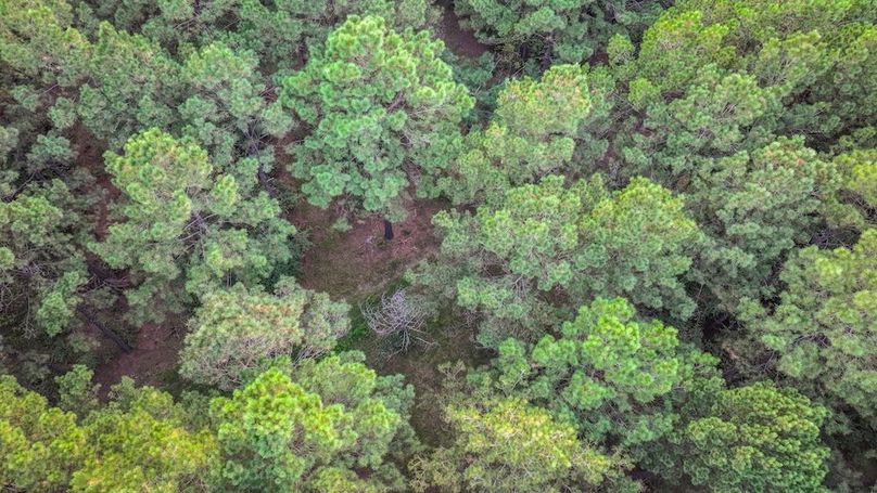 DJI_20250918185230_0285_D