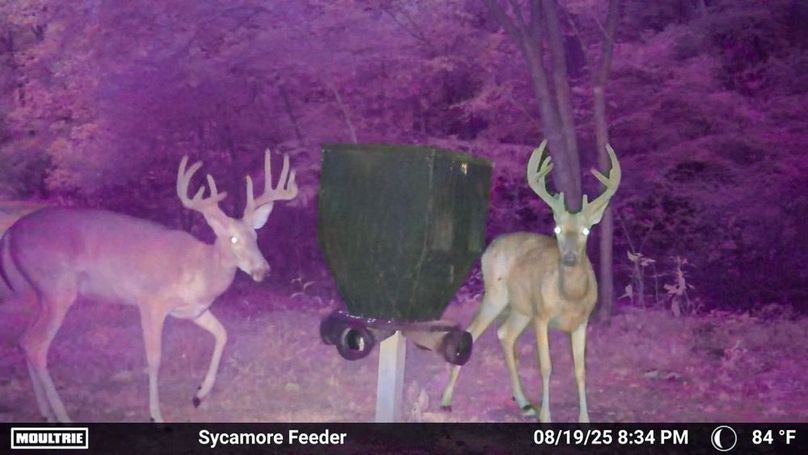 Fleming Petry 120-033