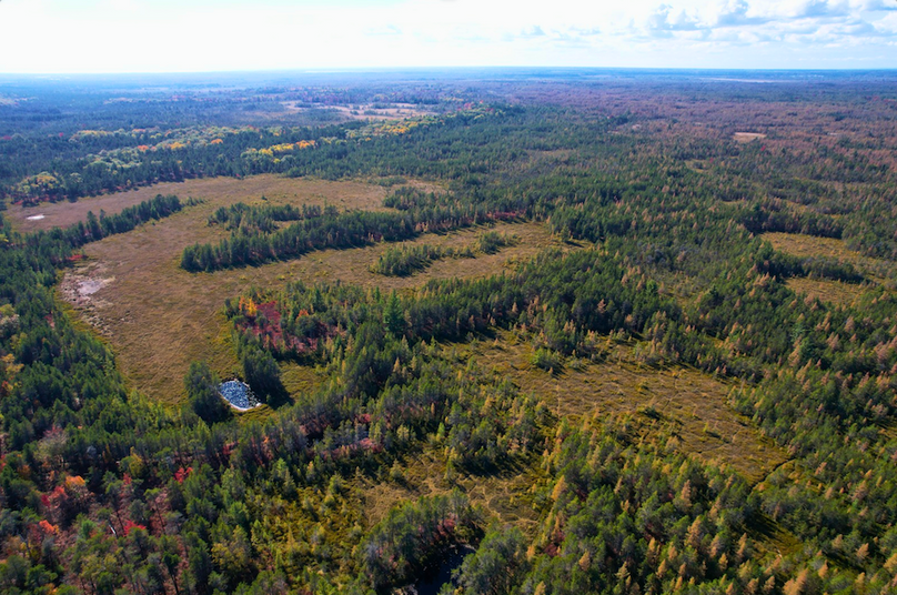 Screenshot 2025-11-14 at 11.03.30 AM