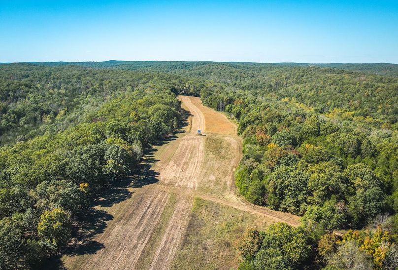 DJI_20251009063300_0650_D