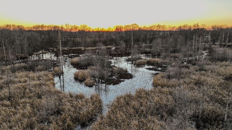 St. Francis 138.5 Calvin Parker Farms Profile -09