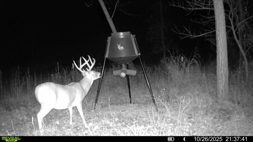 016578005791378-65-3-10262025214112-HD-SYFW00527