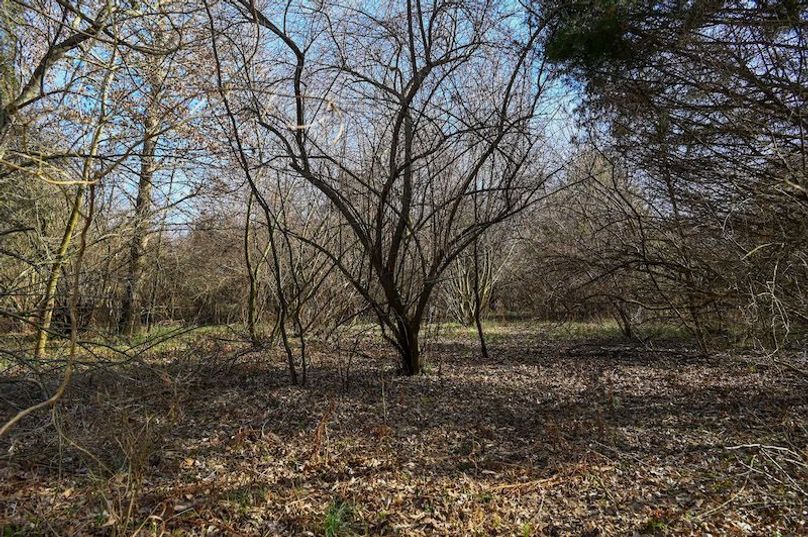 vandalia 450 (2)-1697