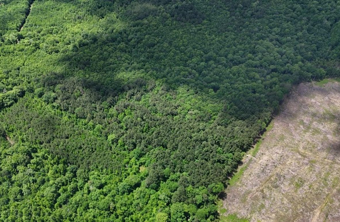 DJI_20250504012706_0473_D