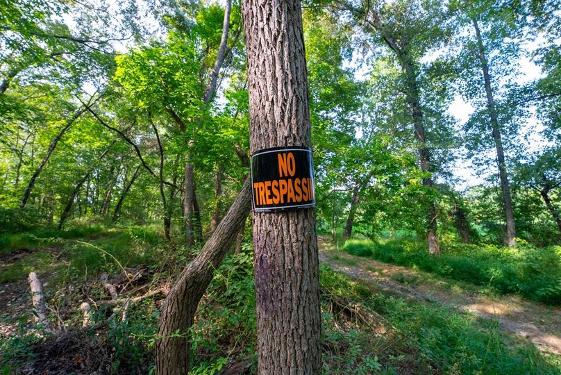 Copy of DSC06202 Large