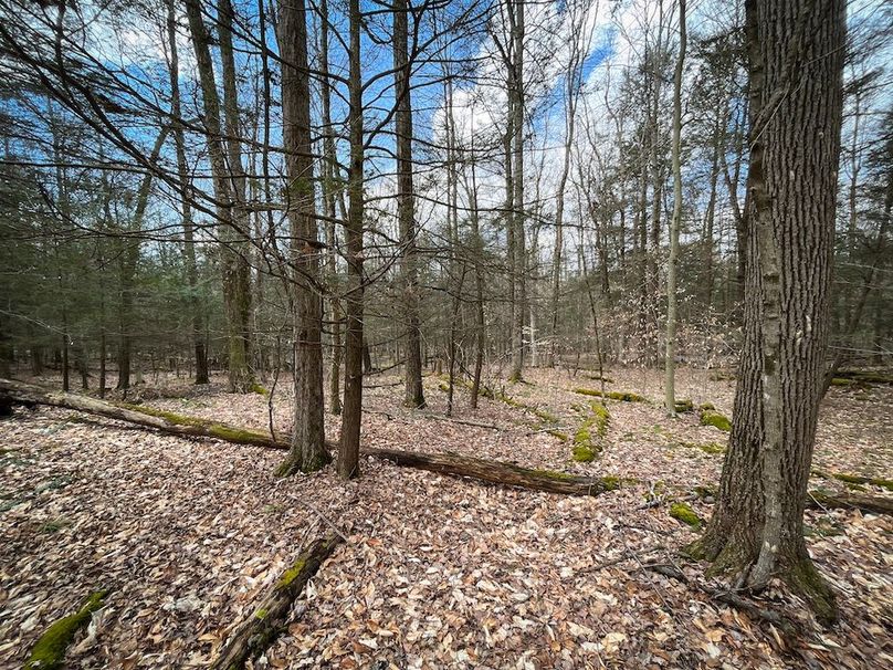 Tioga__NY_109.7_Burris_Photos_73