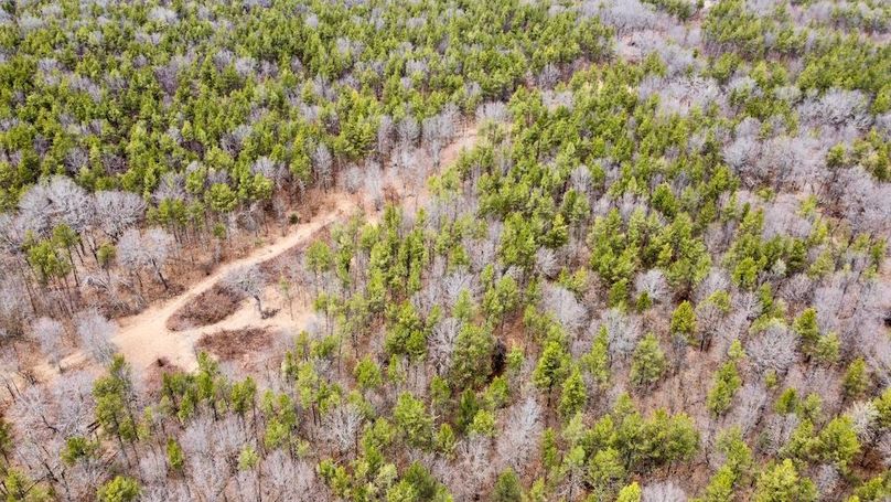 dji_fly_20250404_130254_747_1744067514336_photo_optimized 2