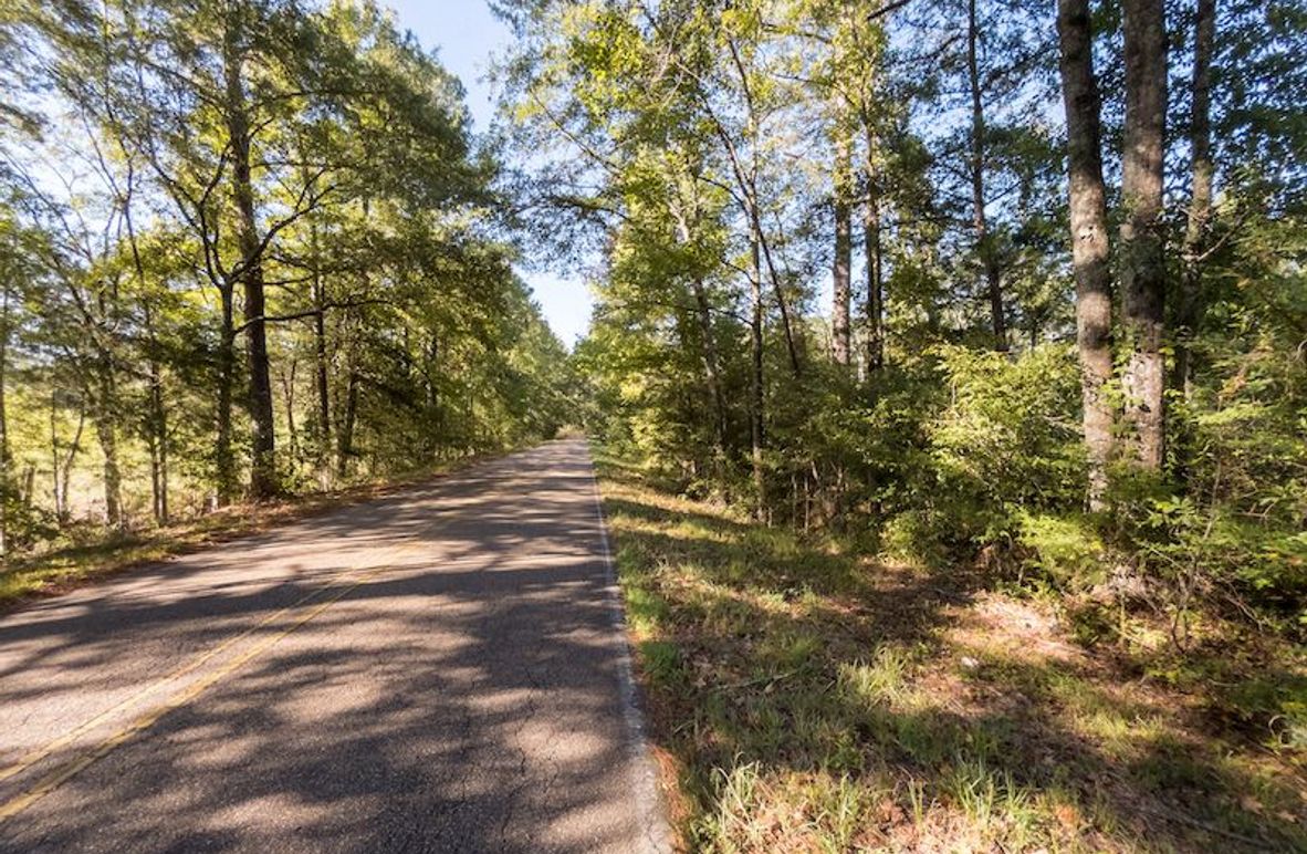 Hinds Co - 3.94 - Newman-3