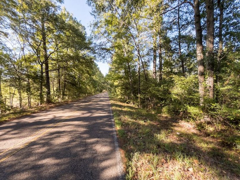 Hinds Co - 3.94 - Newman-3