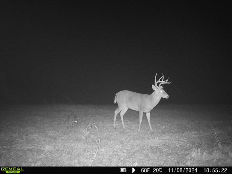 Clay 17 Snyder-48