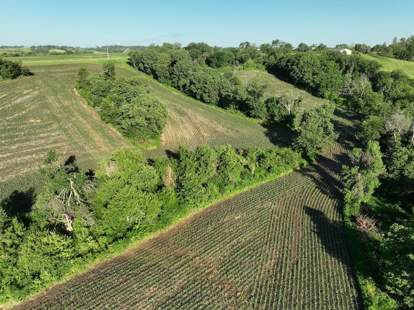 dji_fly_20260601_080036_522_1780319423133_photo