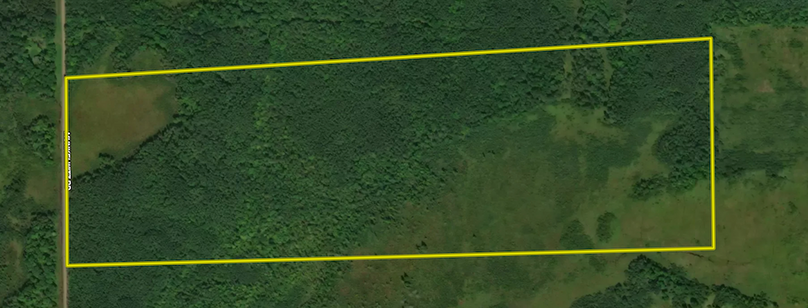 Screen Shot 2024-04-13 at 3.53.18 PM