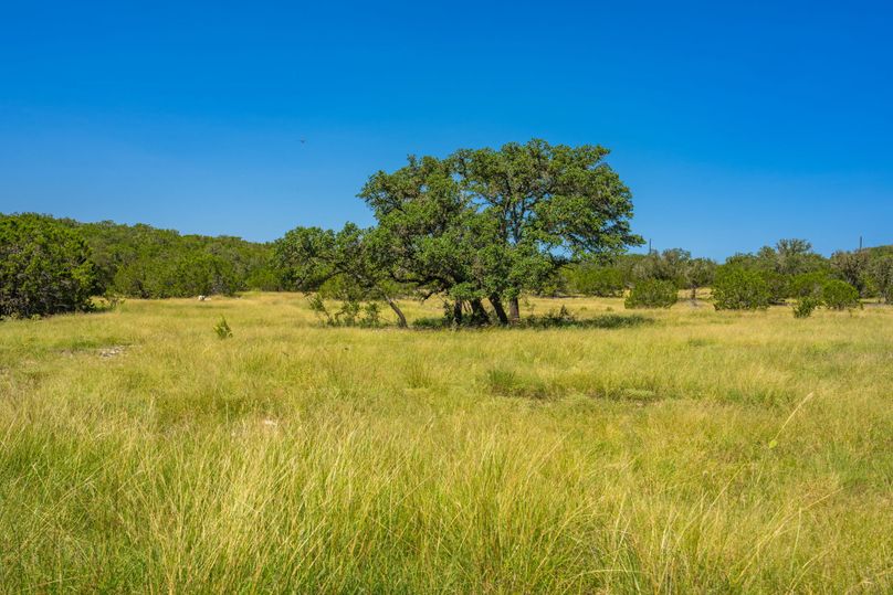 9-web-or-mls-DSC08155