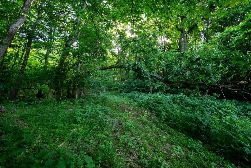 Cumberland TN 92 Featured_Pro Photo-108