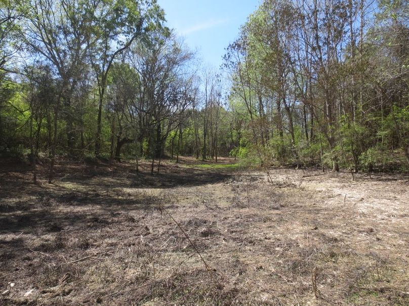 E8C58F6B-E19F-451E-8380-6F71777CB166_1_105_c