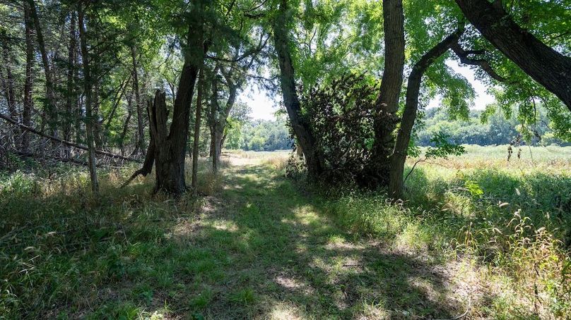 DSC00695
