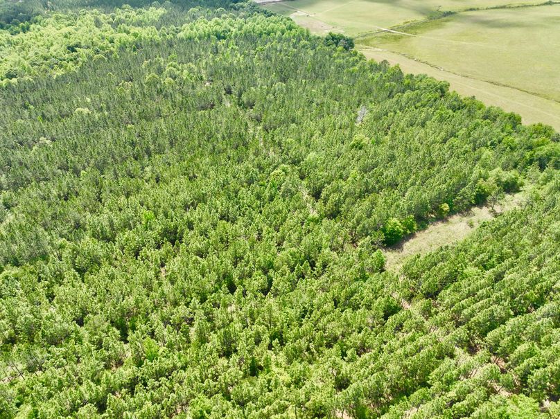 dji_fly_20230426_150916_327_1682536310207_photo