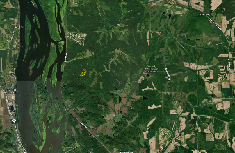 Screen Shot 2023-10-05 at 1.44.33 PM