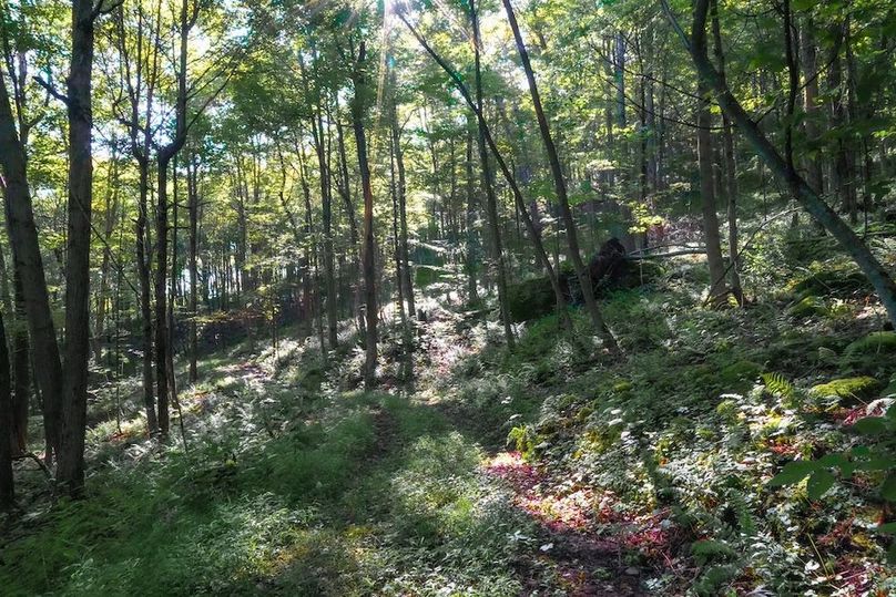 Somerset, 120, Westwood-1