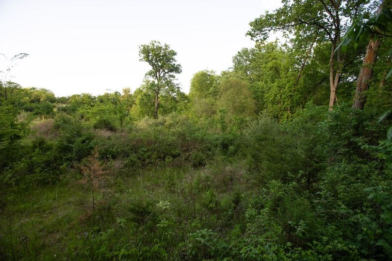 PAGE CO IA 130+_-_33