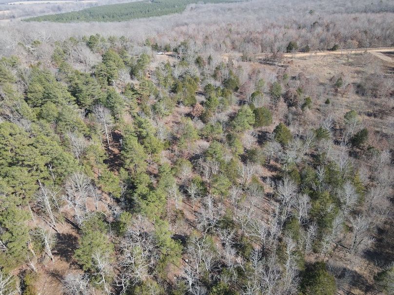 dji_fly_20250213_142624_17_1739478392886_photo