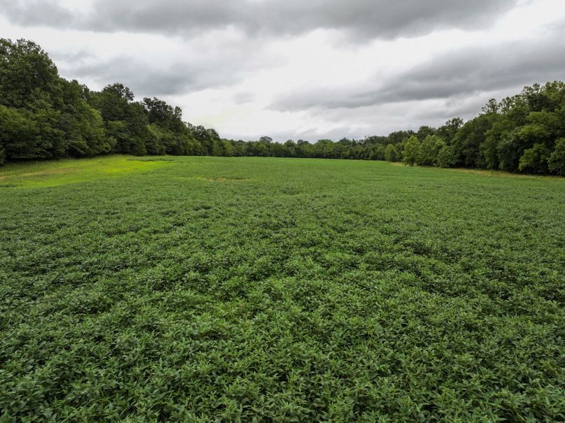 DJI_20230815075549_0001_D