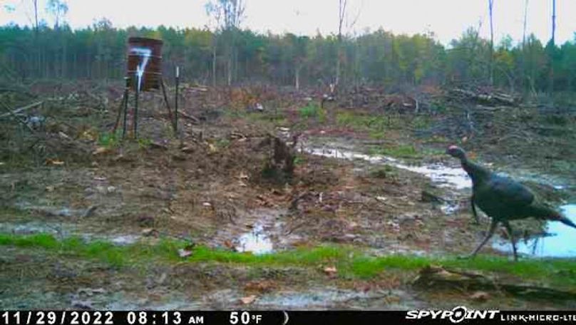 Ashley Co-40-Givens-57