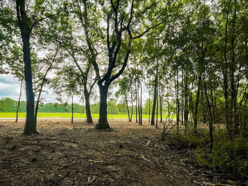 BD6EF5AB-47C9-4C34-BF46-AFEB69B14BCF