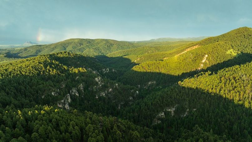 Lawrence SD 50 Featured_ProPhoto-49