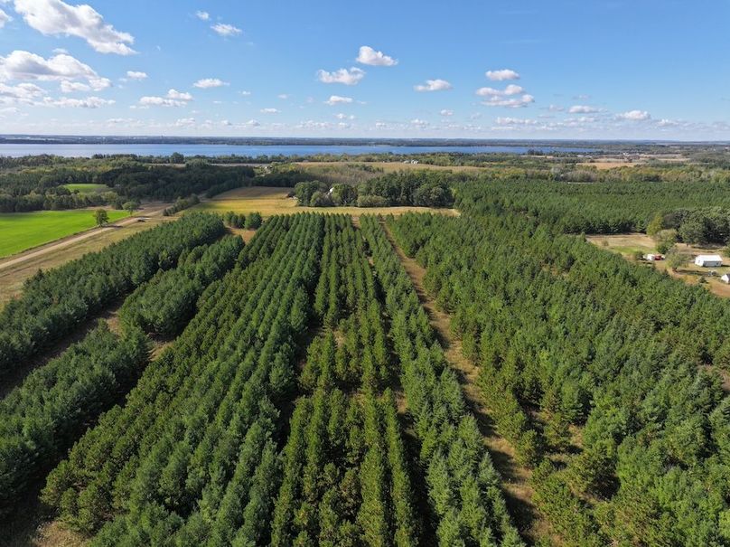 dji_fly_20240924_141716_0275_1727213963938_photo