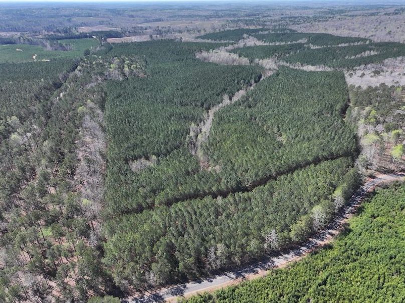 010AE - 257 Acres - Drone-2