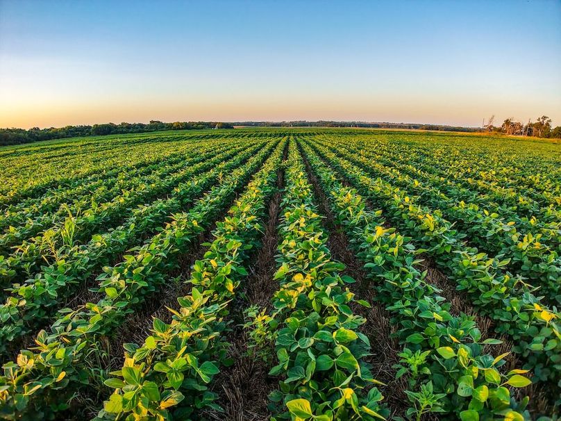 DJI_20250816070417_0724_D