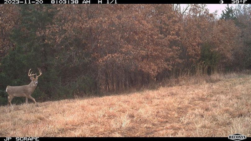 2023-11-20 08-03-38 M 1_1
