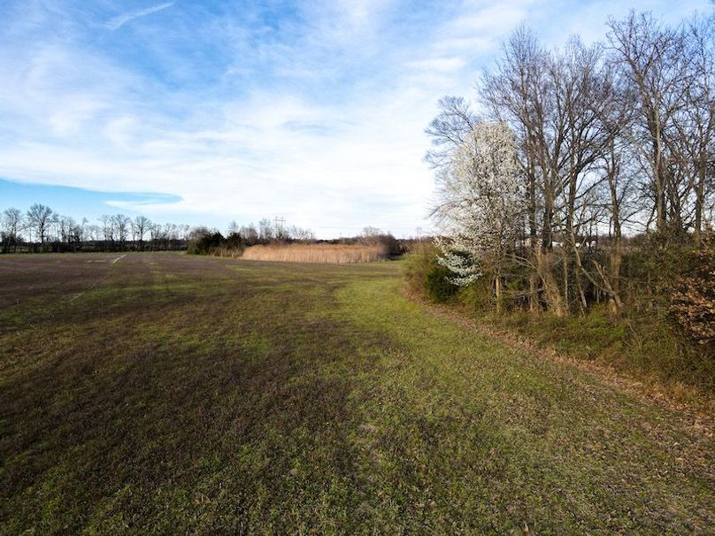 vandalia 450 (2)-2315