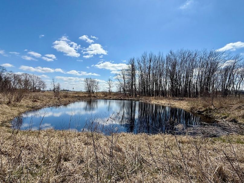 20 Middle pond looking south