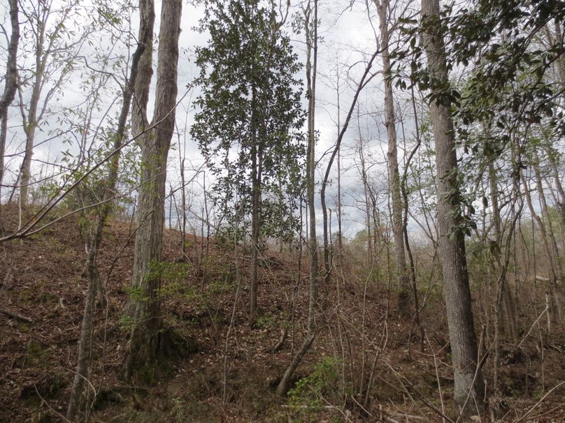 CC086044-479C-46DB-B357-513F43794AE2