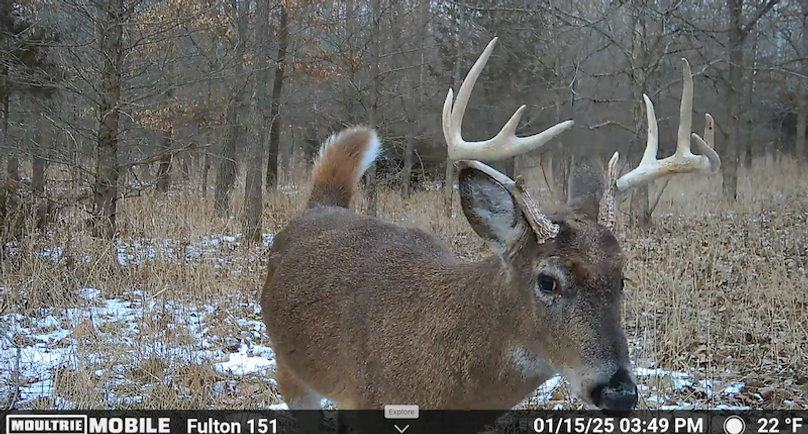 Screen Shot 2025-07-16 at 12.52.31 AM